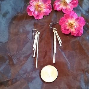 Hammered Silver long Earrings